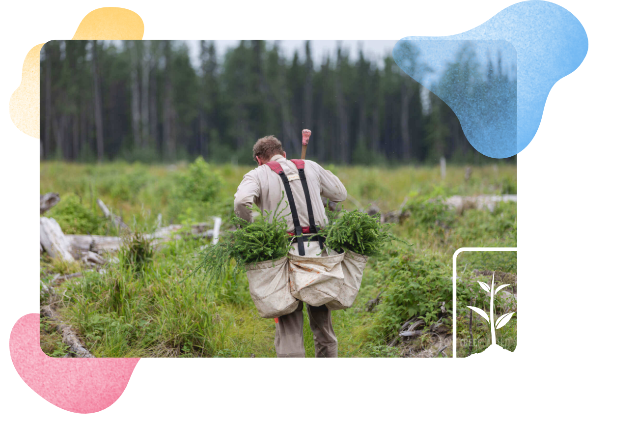 One Tree Planted Logo Image